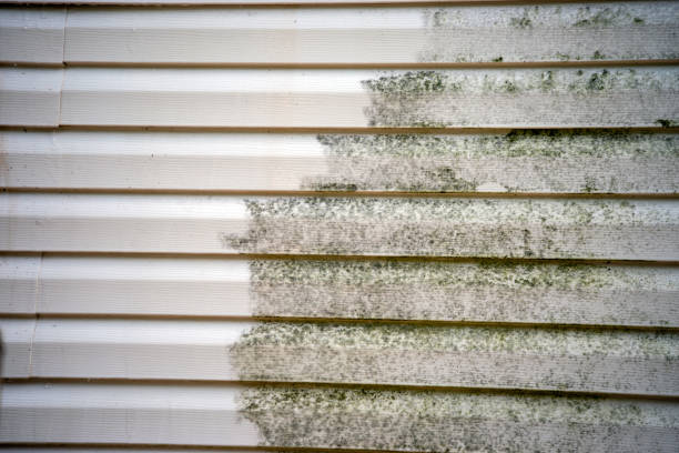 Best Storm Damage Siding Repair  in Moscow, ID